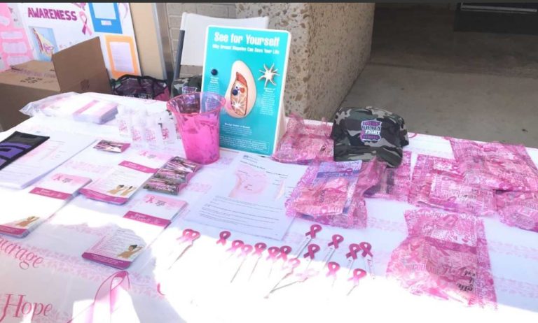 Making Strides against Breast Cancer