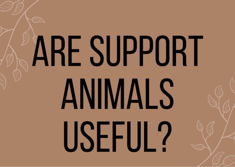 Are Support Animals Useful?
